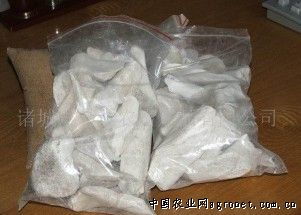 供应优质饲料级或骨碳专用精品骨块——助力饲料行业高质量发展