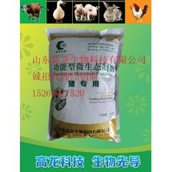 泰安市泥鳅养殖 批发、供应与饲料一体化发展